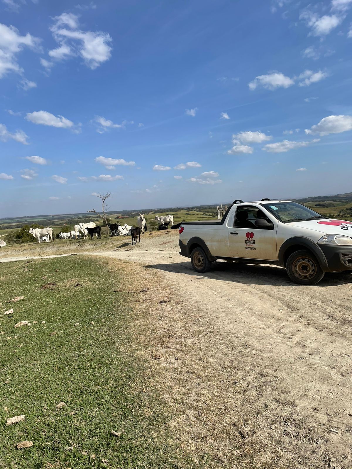 WhatsApp Image 2022-10-18 at 09.19.28.jpeg